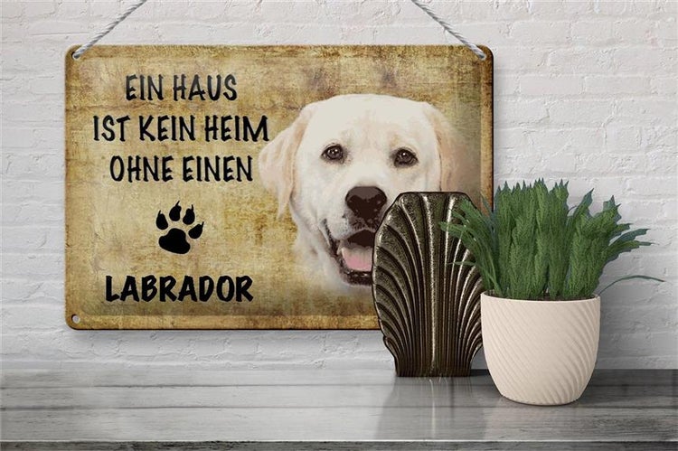 Blechschild Spruch 30x20cm Labrador Hund ohne kein Heim