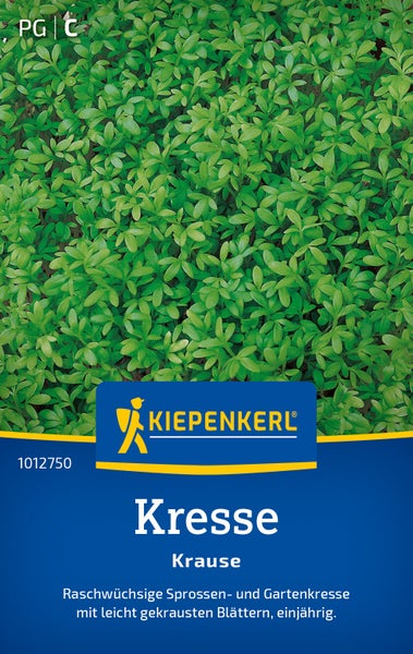 Kiepenkerl Saatgut Kresse Krause zur Anzucht von frischen Sprossen und Gartenkresse im Innenbereich.