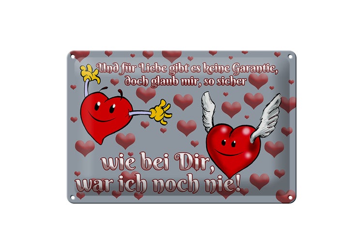 Blechschild Spruch 30x20cm Für Liebe gibt's keine
