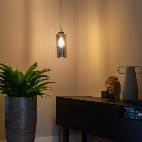 Wohnraum mit Hängeleuchte, Anrichte und Zimmerpflanze