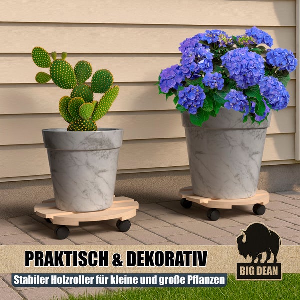 Zwei Pflanzen auf Pflanzenrollern aus Holz vor einer Hauswand