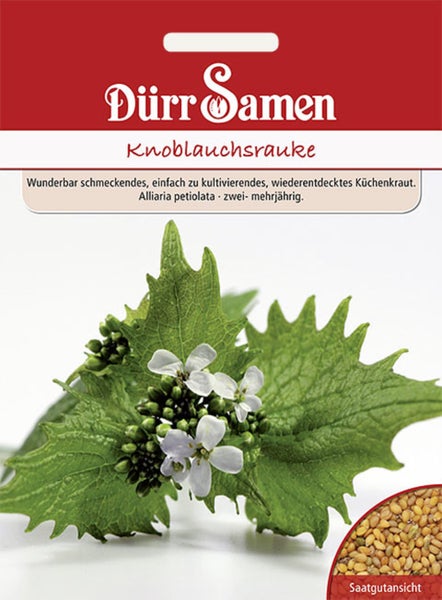 Samenpaket Baldrian (Valeriana officinalis) von Deine Gartenwelt, mehrjährig, zeigt Vorder- und Rückseite mit Pflanzinformationen.