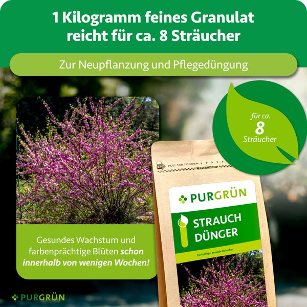 Anleitung zur Anwendung von Granulat in zwei Schritten und Kalender für die Düngung im Frühjahr und Sommer. Purgrün Logo.