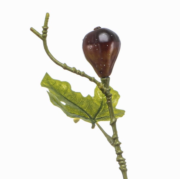 Dekorative Lianen aus Naturmaterialien für Floristik und Bastelarbeiten