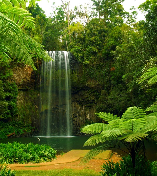 Wasserfall umgeben von üppiger Vegetation