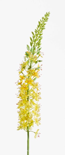 Nahaufnahme eines grünen Kunstpflanzenzweigs mit kleinen Knospen.