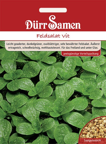 Samentüte für Feldsalat Vit von Dürr Samen mit Abbildung der Pflanzen und Saatgutansicht. Vorteilspackung. Dürr Samen Logo.