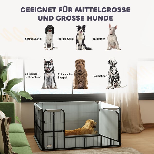 Hundeauslauf für mittelgroße und große Hunde mit verschiedenen Hunderassen und einem Golden Retriever im Gehege.