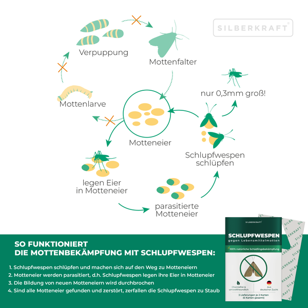 Schlupfwespen gegen Lebensmittelmotten 3 Lieferungen je 10 Karten (30 Karten gesamt)