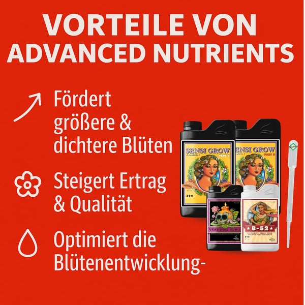 Advanced Nutrients Sensi Grow, Voodoo Juice und B-52 Dünger für größere Blüten, mehr Ertrag und optimierte Blütenentwicklung.