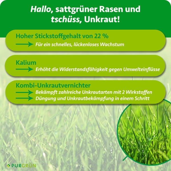 Infografik für Purgrün Rasendünger mit Unkrautvernichter. Vorteile: 22 Prozent Stickstoff, Kalium und zweifache Unkrautbekämpfung. Purgrün Logo.