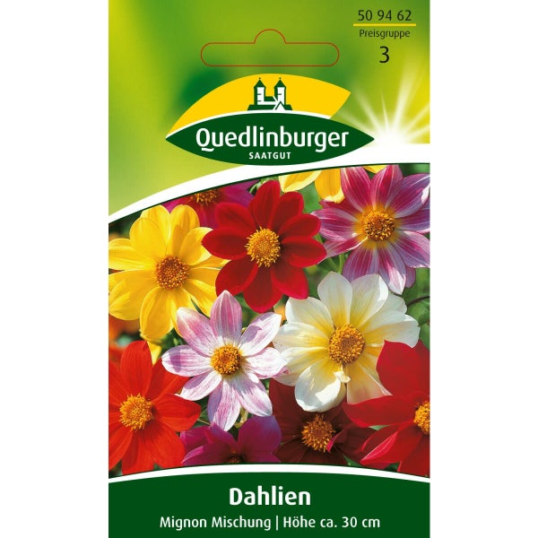 Dahlien Mignon Mischung Samen von Quedlinburger SAATGUT