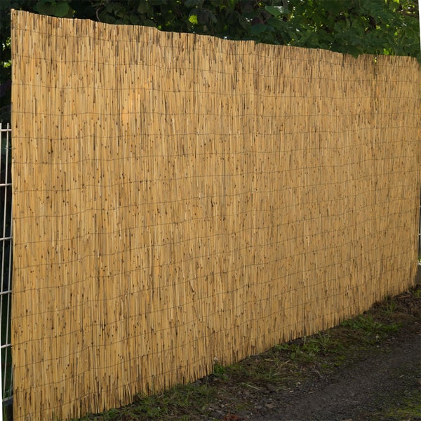 Sichtschutzmatte Aroa  60x160 cm, Schilfrohr naturfarben