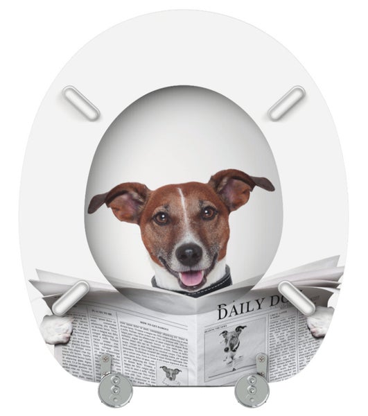 WC-Sitz Newspaper