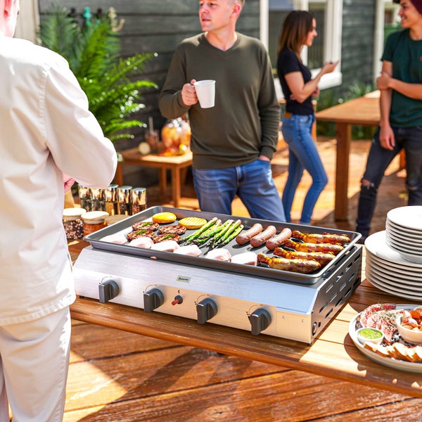 Hortensienbusch mit grünen Blättern und blau-weissen Blüten