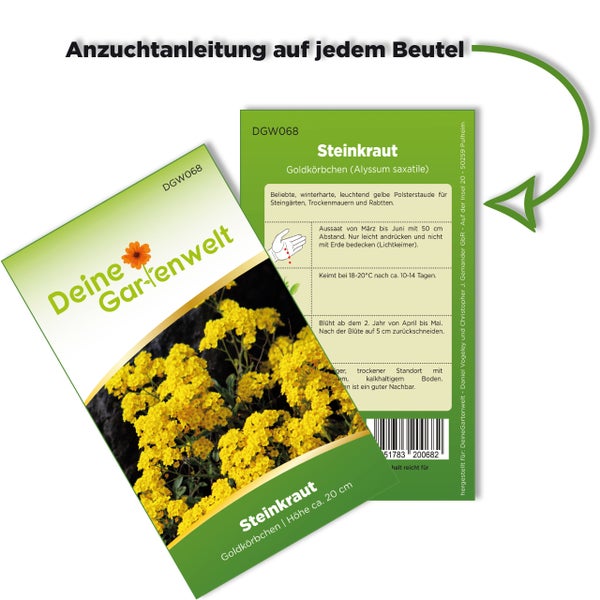 Samentüte Steinkraut Goldkörbchen von Deine Gartenwelt mit Anzuchtanleitung auf der Rückseite für Aussaat und Pflege.