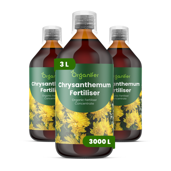 Drei Flaschen Organifer Chrysanthemumdünger, organisches Düngerkonzentrat, 3 Liter.