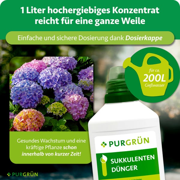 Purgrün Sukkulentendünger 1 Liter Konzentrat für circa 200 Liter Gießwasser, Dosierkappe und blühende Hortensien. Purgrün Logo.