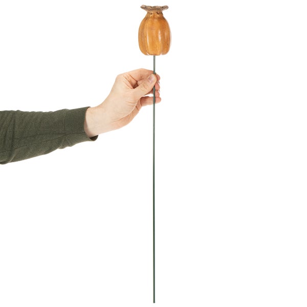 Hand hält Mohnblume am Stab