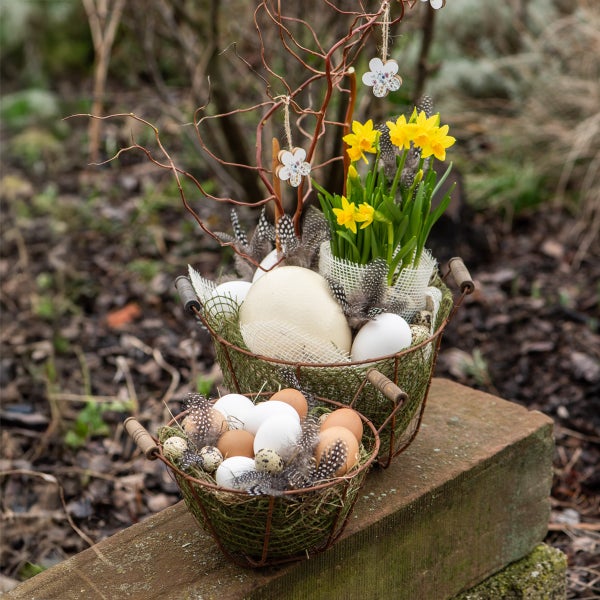 Dekorative Osterkörbe mit Eiern, Federn und Narzissen auf Holzbank