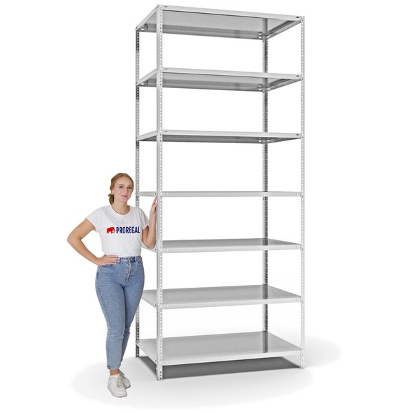 PROREGAL Fachbodenregal Schraubsystem Light-Duty Grundregal HxBxT 300 x 130 x 80 cm 7 Ebenen Fachlast 125 kg Beidseitig Nutzbar Lichtgrau