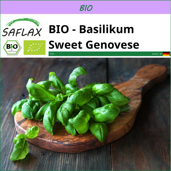 SAFLAX  - BIO - Basilikum Sweet Genovese - Ocimum basilicum - 800 Samen