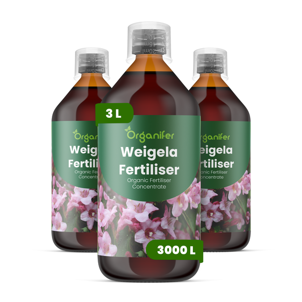 Drei Flaschen Organifer Weigela Dünger, organisches Düngerkonzentrat, insgesamt drei Liter, braune Flaschen mit grünem Etikett und rosa Blüten.