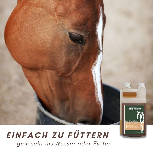 Pferd trinkt neben einer Flasche Schwarzkümmelöl von Supravit