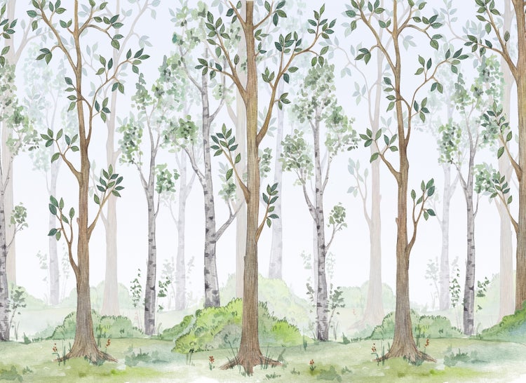 Illustrierte Vliestapete mit Waldmotiv, Birken und Laubbäumen im Aquarell-Stil sowie grünen Büschen auf einer Wiese.