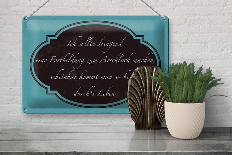 Blechschild Spruch 30x20cm ich Fortbildung zum Arschloch