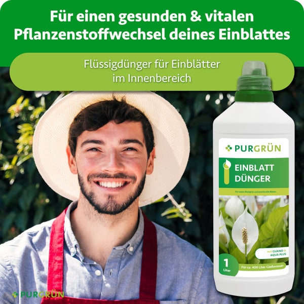 Purgrün Einblatt Flüssigdünger in einer ein Liter Flasche mit Guano und Aqua Plus für die Anwendung im Innenbereich.