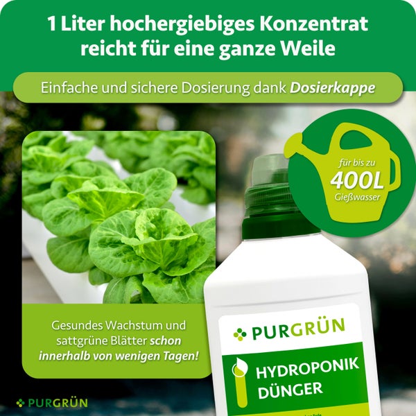 Eine Flasche PURGRÜN Hydroponik Dünger mit Dosierkappe für bis zu 400 Liter Gießwasser, inklusive Produktinformationen und Salatpflanzen