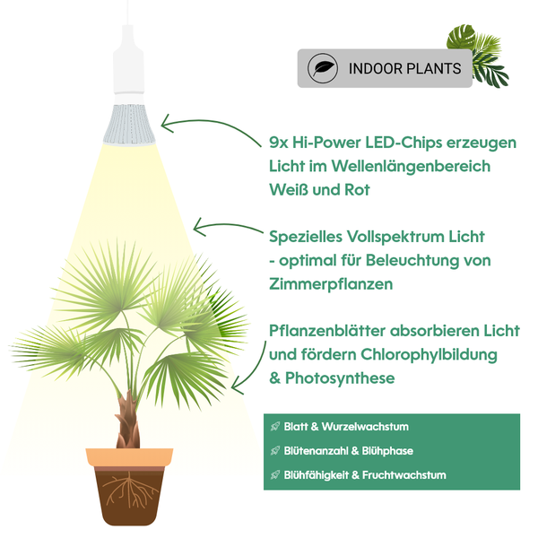 Parus by Venso Growlight 'Indoor plants' LED E27 Pflanzenlampe, Vollspektrum, 6W Pflanzen Lampe für Zimmerpflanzen, Venso Ecosolutions , verbesserte Photosynthese, höhere Chlorophyllbildung, Venso