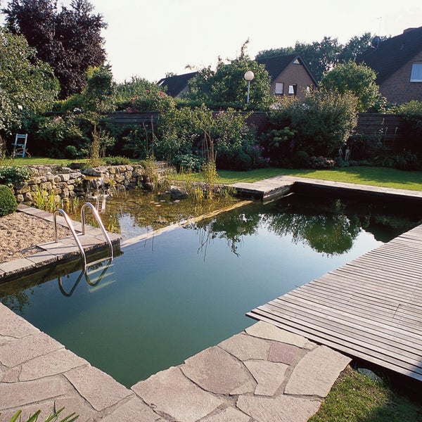 Rechteckiger Schwimmteich im Garten mit Holzdeck, Natursteinplatten, Einstiegsleiter und bepflanzter Regenerationszone.