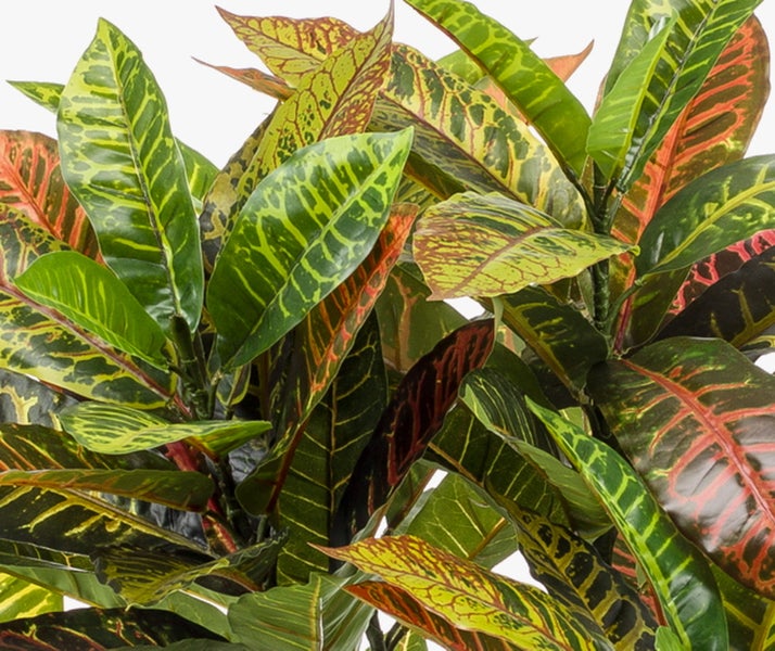 Nahaufnahme einer künstlichen Croton-Pflanze mit rot-grün gemusterten Blättern und verzweigten Ästen.
