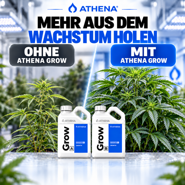 Vergleichsbild Athena Grow A und B Dünger für Pflanzenwachstum in einer Anbauumgebung mit Gegenüberstellung.