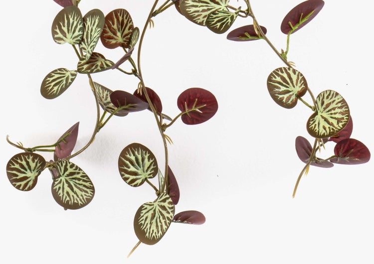 Künstliche Hängepflanze mit runden gemusterten Blättern und weinroter Rückseite