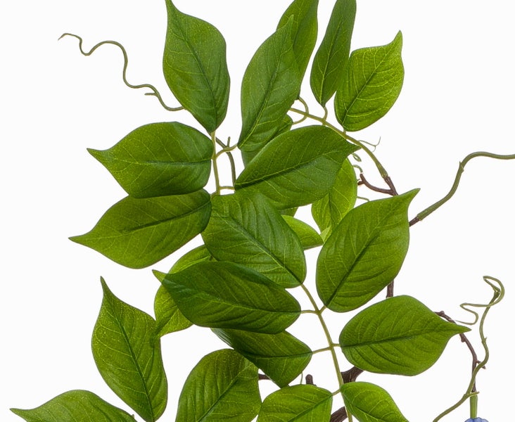 Künstlicher Blauregen Zweig mit grünen Blättern und herabhängenden blauen Blüten.