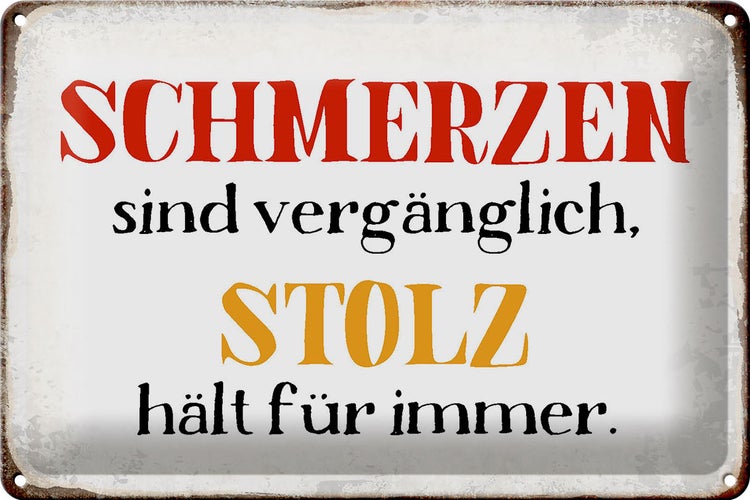 Blechschild Spruch 30x20cm Schmerzen Stolz hält für immer