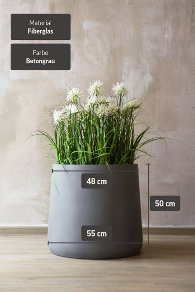 Pflanzkübel aus Fiberglas in Betongrau, Höhe 50 Zentimeter, oberer Durchmesser 48 Zentimeter, unterer Durchmesser 55 Zentimeter.