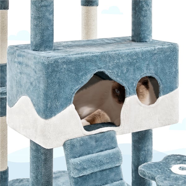 Katze in einem blauen und weißen Katzenbaum mit Kratzbaum