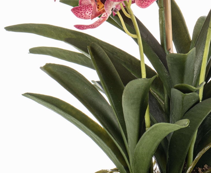 Künstliche Vanda-Orchidee mit rosa gemusterten Blüten in einem grauen Keramiktopf mit sichtbaren Luftwurzeln.