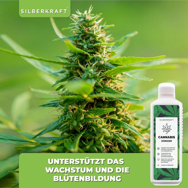 SILBERKRAFT Cannabis Dünger – Für Hanfpflanzen – NPK Flüssigdünger – 1 Liter