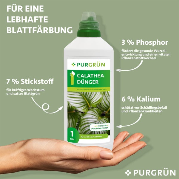 Purgrün Calathea-Dünger 1 Liter
