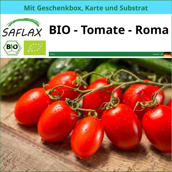 SAFLAX Geschenk Set - BIO - Tomate - Roma - Solanum lycopersicum - 15 Samen - Mit Geschenkbox, Versandaufkleber, Geschenkkarte und Anzuchtsubstrat