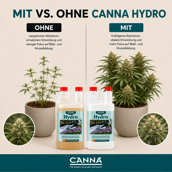 Vergleichsgrafik Canna Hydro Pflanzennährstoff mit zwei Flaschen und Pflanzenvergleich zur Wachstumsförderung in Hydrosystemen.
