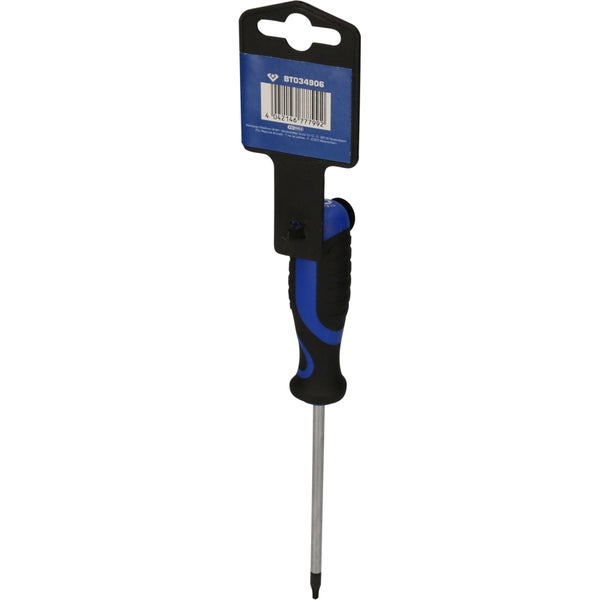 Torx-Schraubendreher mit blau-schwarzem Griff