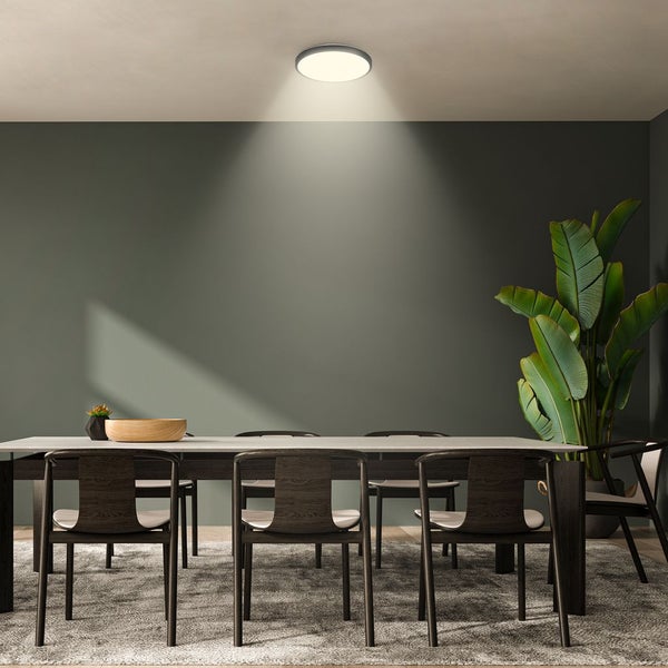 Modernes Esszimmer mit runder LED-Deckenleuchte, die einen Holztisch und Stühle vor einer dunklen Wand mit einer großen Pflanze beleuchtet.
