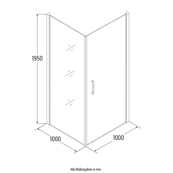 Home Deluxe Duschkabine LIVIA Chrom - 100 x 195 cm ESG & Aluminiumrahmen|Duschabtrennung, Eckdusche, Duschtür