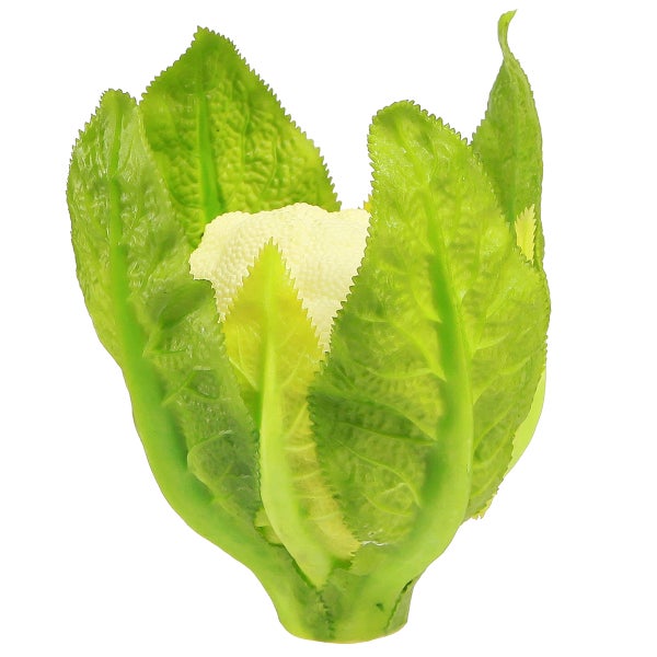 Künstlicher Blumenkohlkopf mit grünen Blättern
